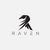ParabolicRaven