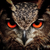nite_owl