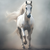 galloping
