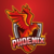 TeamPheonix