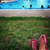 CandaceBogart931
