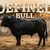 DefinedBull