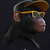 SwaggerApe