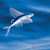 flyinFish