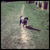 PaulineBowles732