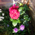 BarbaraMyers613