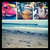 AllisonDelacruz1078