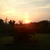 TheresaLatta986