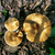 ChristinaStevens607
