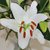 AnnieLewis608
