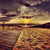CoryHowell339