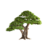 PennyPrince7