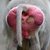 BFCH_Baboon