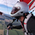 Glider365