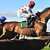 steeplechase