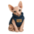 myboringclub