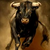 Kikobulls