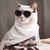 Cat_on_Deck