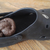 1EliteShoeShitter