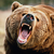 SLS_SHORT_BEAR