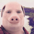Gpork