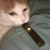 trade_cat6