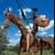 Quixote_Don