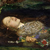 ThetaOphelia