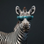 KoolestZebra